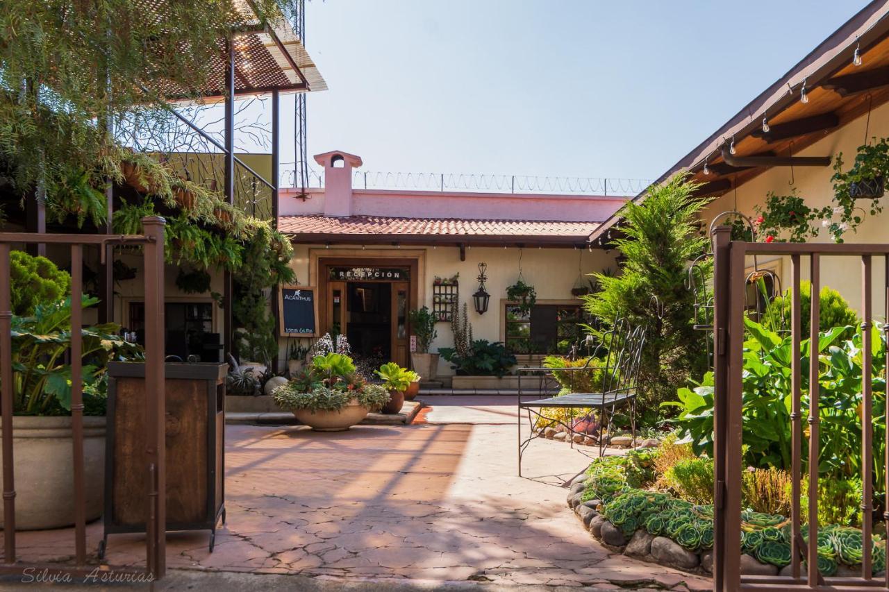 Acanthus Boutique Hotel Quetzaltenango Eksteriør bilde